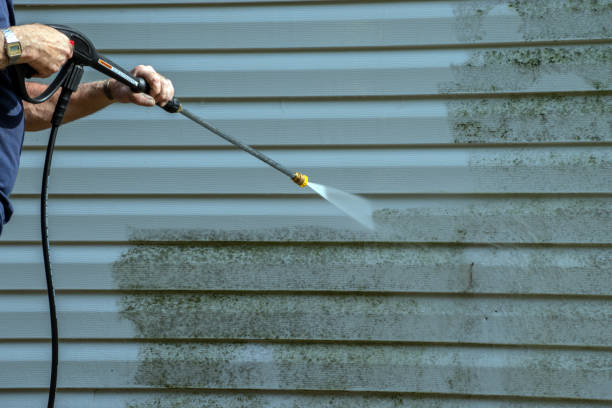 Best Gutter Cleaning  in North Merritt Island, FL